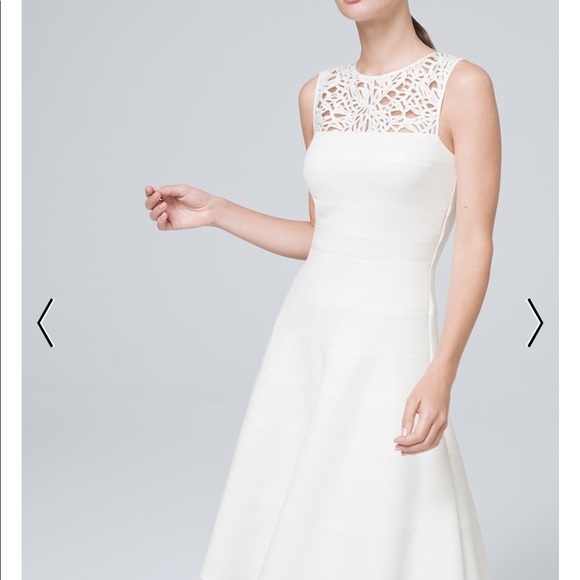 Meet your Posher, Lily - Picture 6 of 6